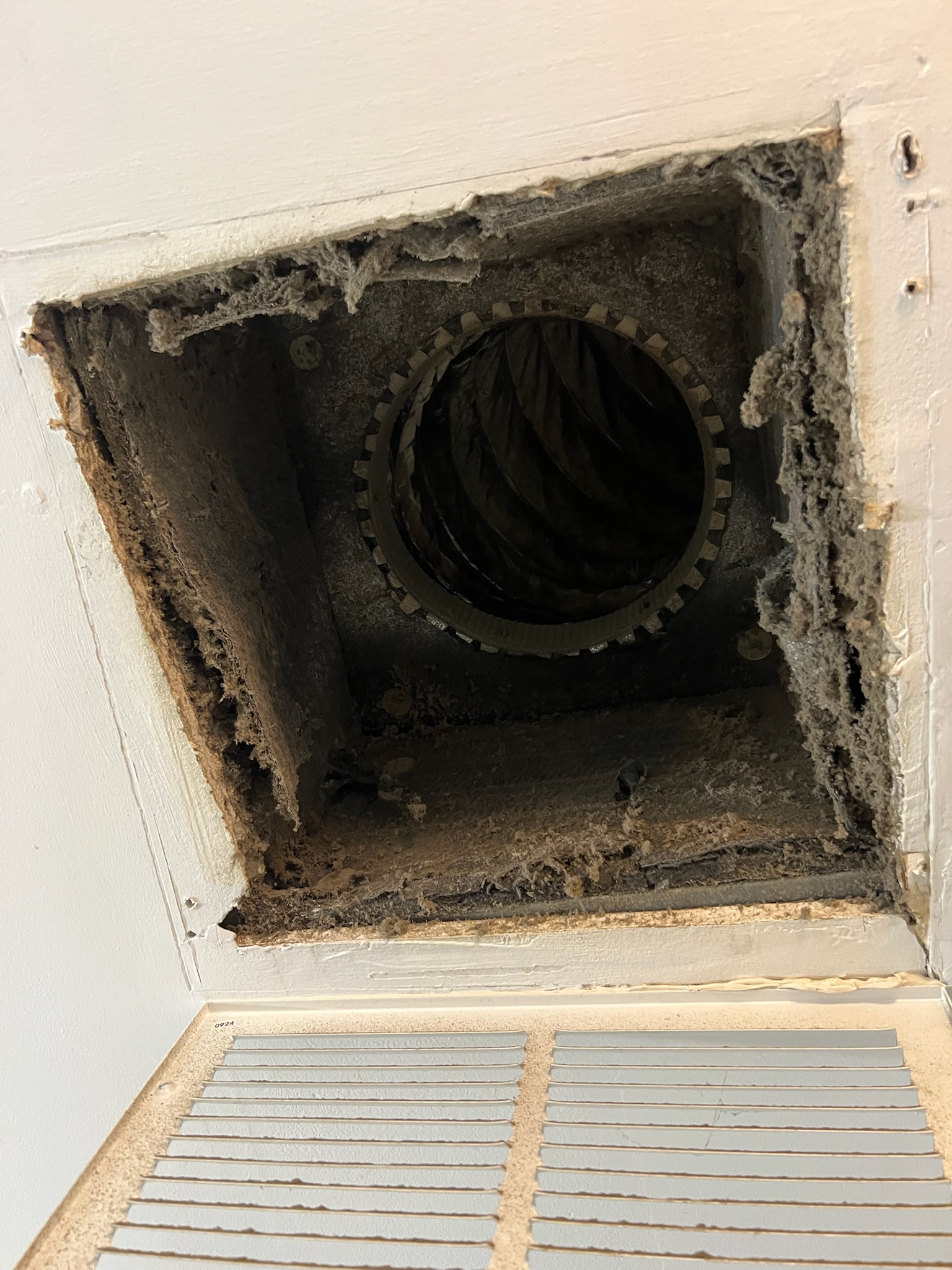 Before: project-image