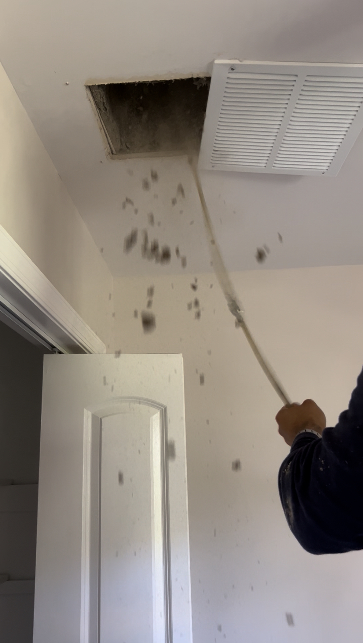 David cleaning a couch