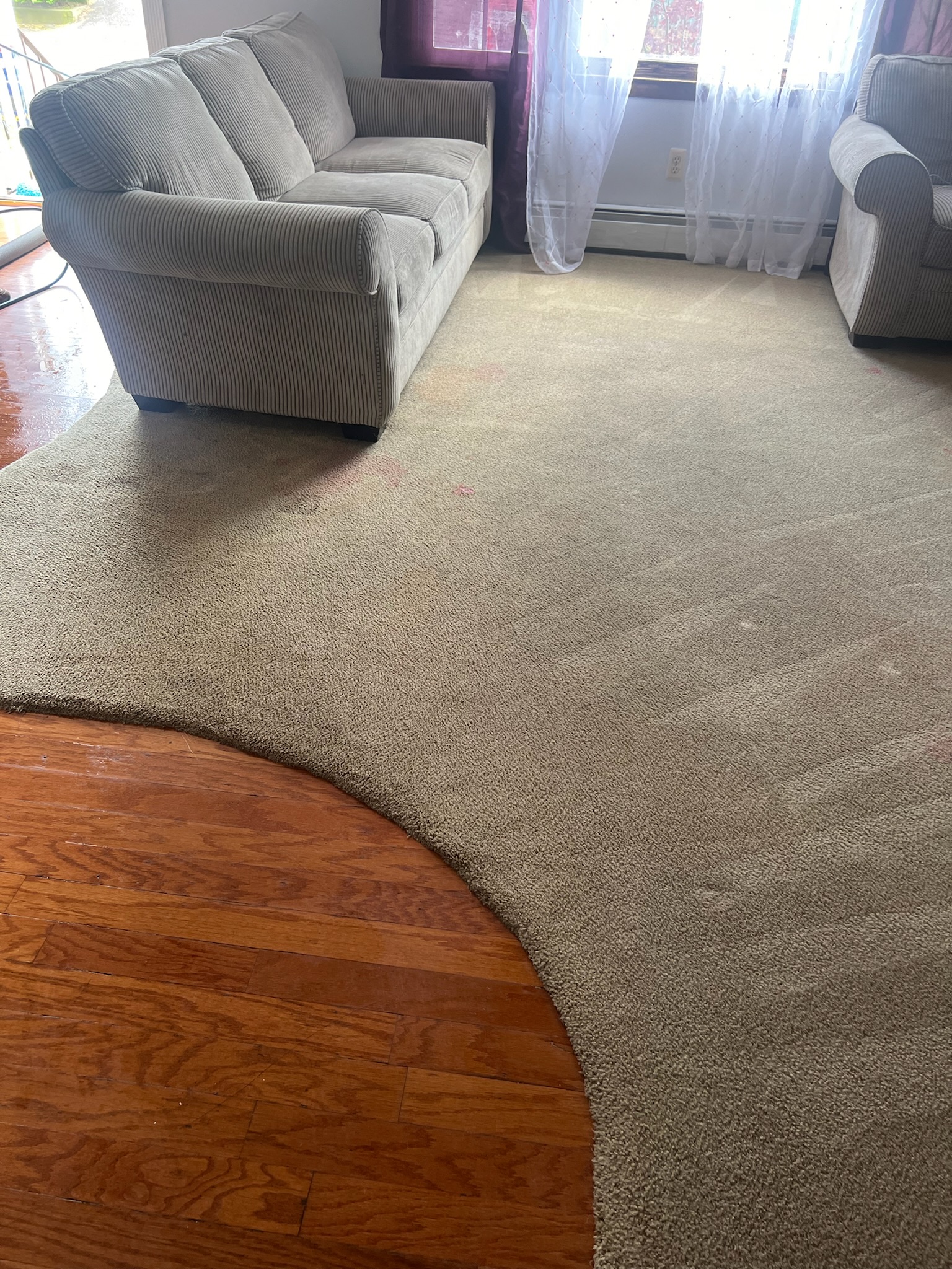 Area Rug Cleaning