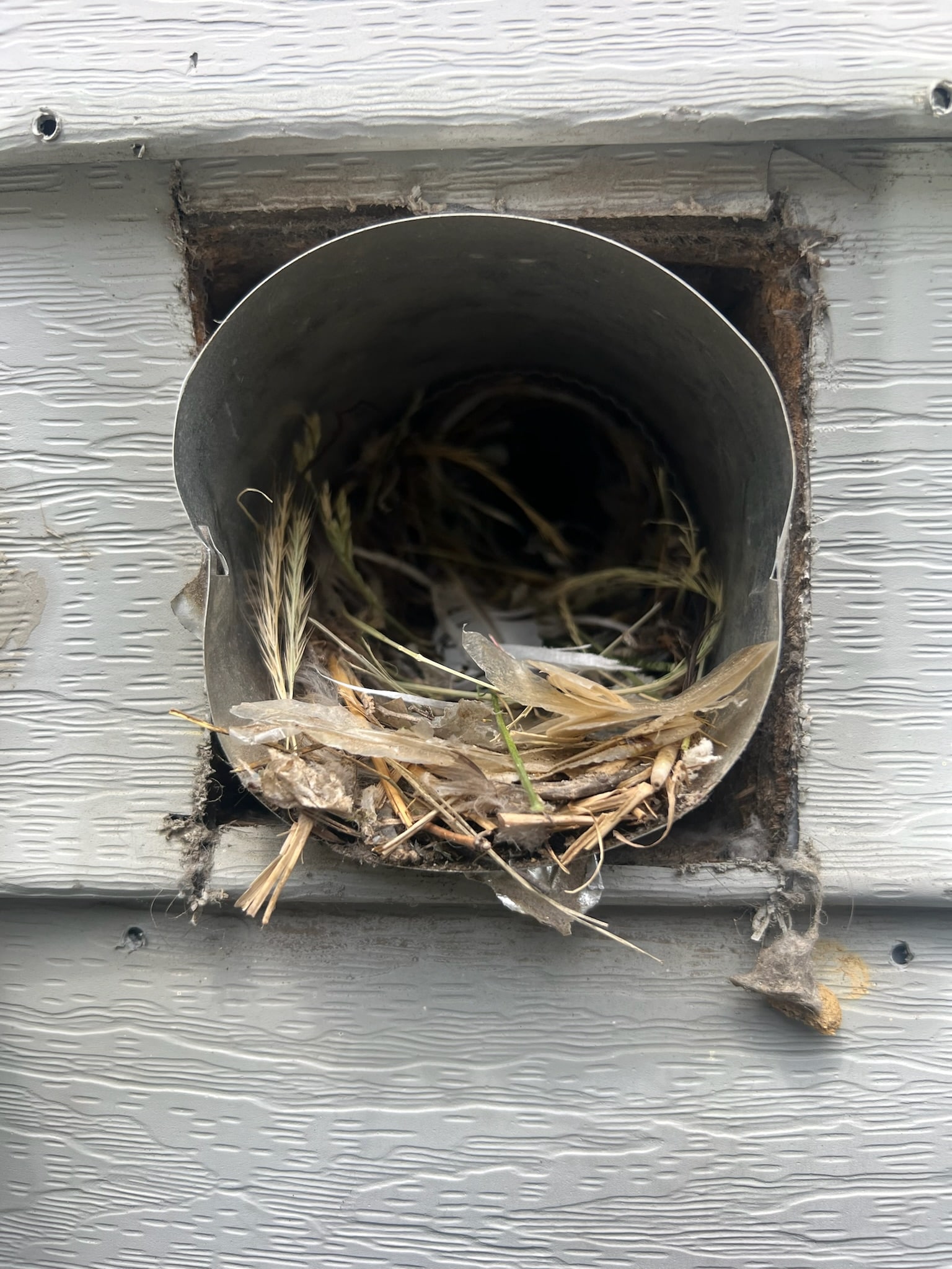 Before: project-image